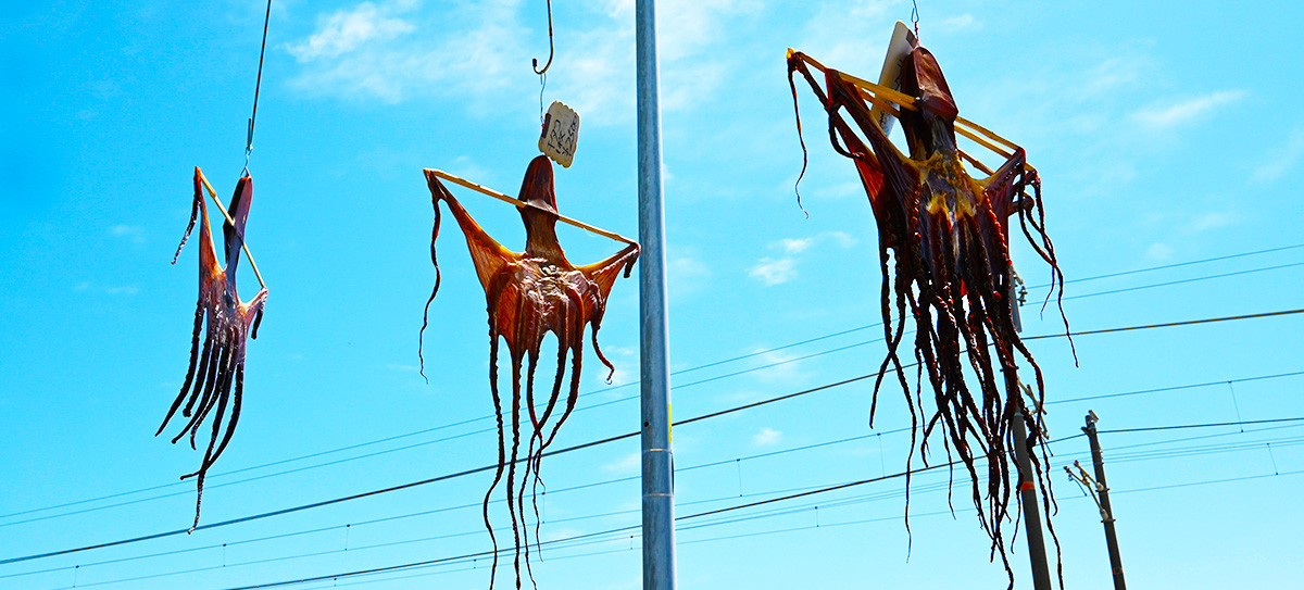 大畠地物のたこの干物
